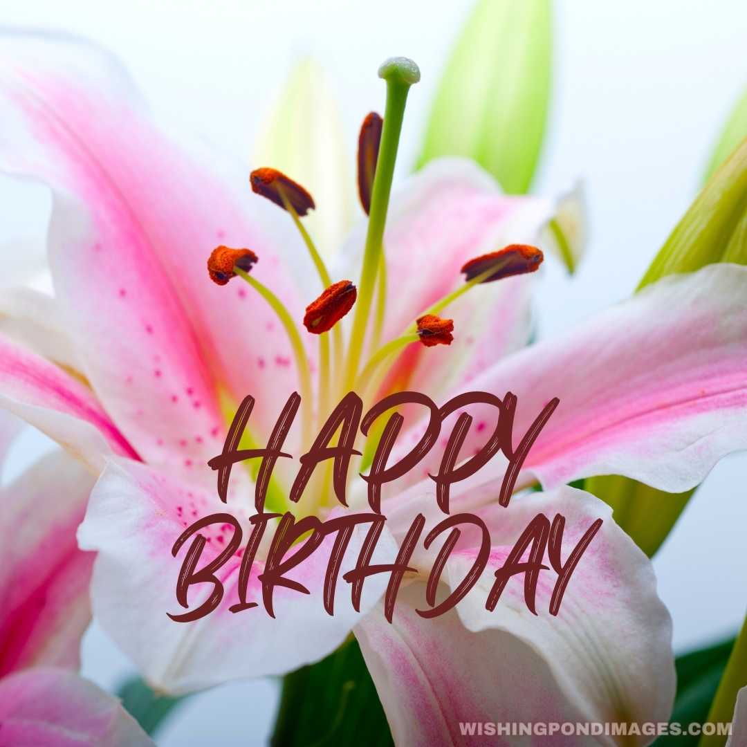 Pink Lily Flower Bouquet - Happy Birthday Flower Images